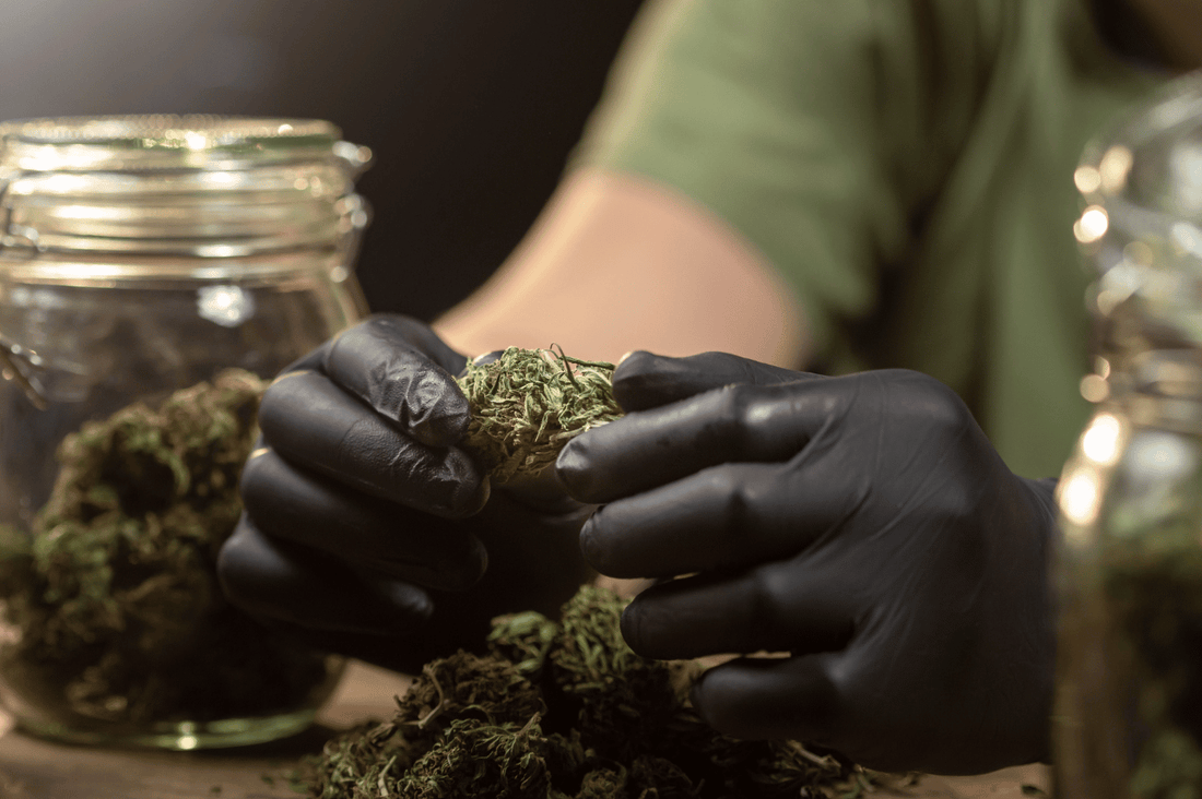 Acheter du cannabis légal en ligne : avantages et inconvénients