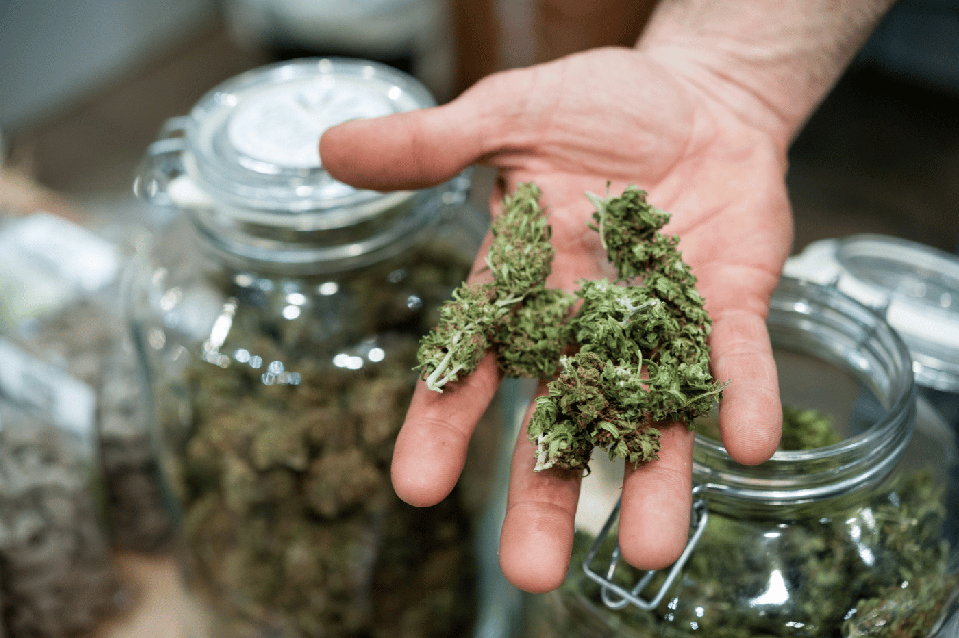 Connaître et comparer les prix du CBD sans se faire piéger