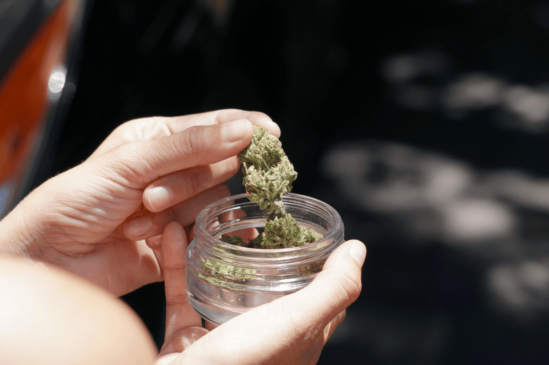 Comment conserver ses produits CBD pour préserver leur qualité ?