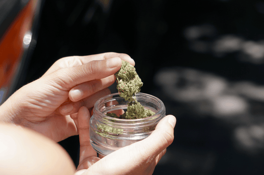 Comment conserver ses produits CBD pour préserver leur qualité ?