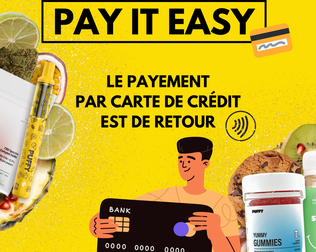 Le paiement par carte bancaire est de retour sur Puffy !