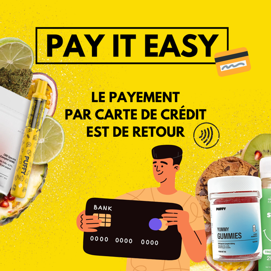 Le paiement par carte bancaire est de retour sur Puffy !