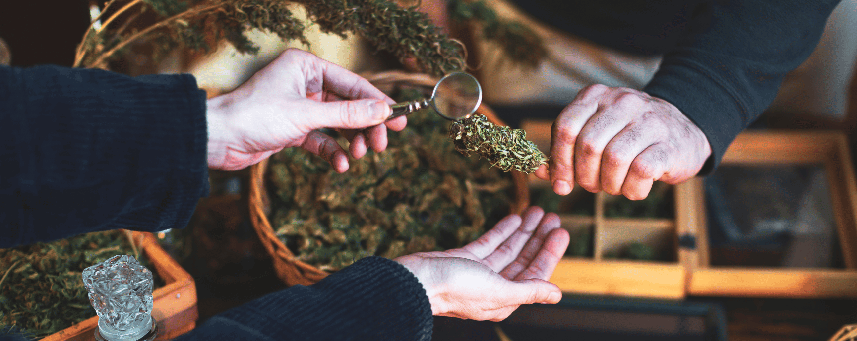Comprendre les effets et l'utilisation du THC dans les produits au cannabis