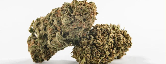 Ist der Konsum von CBD sicher?