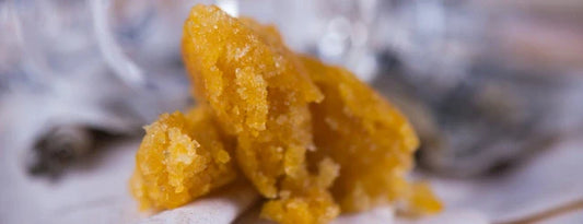 Live Resin vs Live Rosin: ποιες είναι οι διαφορές;