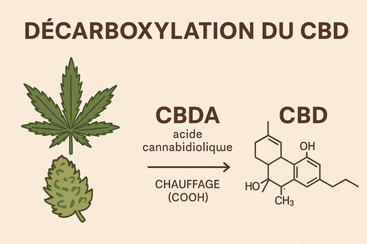 How does CBD decarboxylation work?