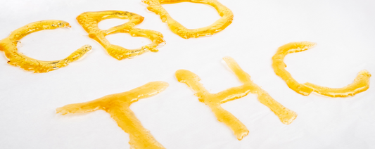 The difference between THC and CBD: Everything you need to know