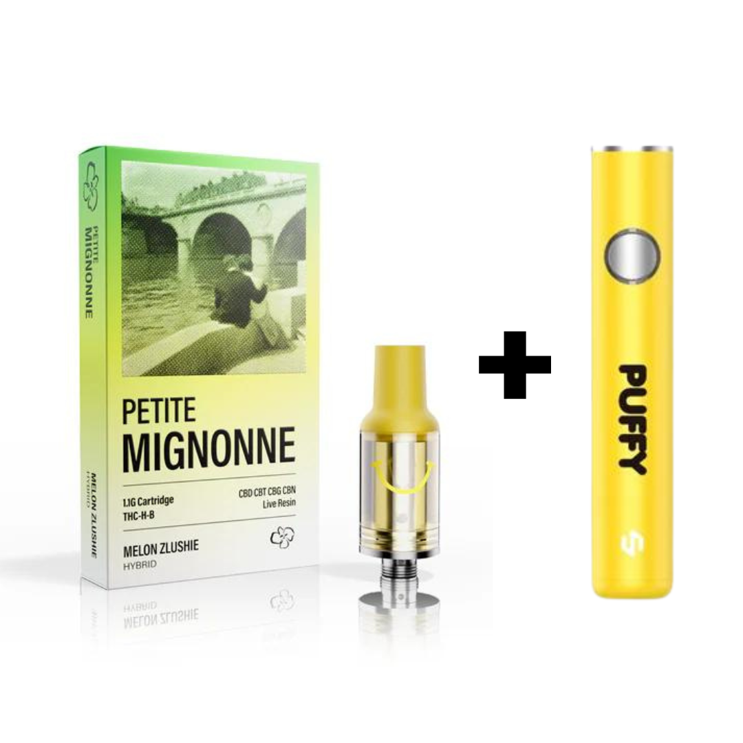 🎁 Cartridge THC-H-B 1100mg - Melon Zlushie 🍈 (100% off)