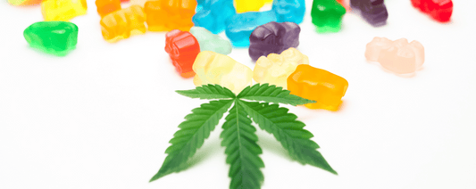 Kannabiksen inhalaation ja nauttimisen välinen ero